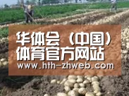 种植基地八