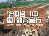 种植基地七(图1)