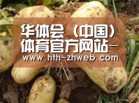 产品展示标题2