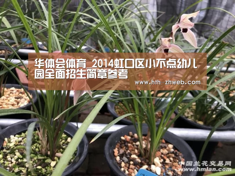 华体会体育