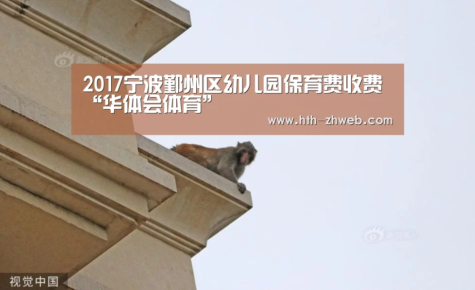 华体会体育