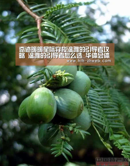 华体会体育